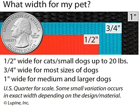 צווארון כלבים גדול לופין 3/4 עיצוב פטוניאס רחב מתאים מ -15 עד 25