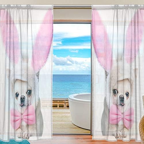 כלב פרחוני צ'יוואווה בפסחא תחפושת פסחא חצי וילונות חלון חלון וילונות פנלים