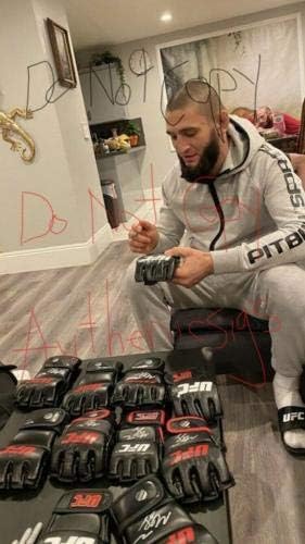Khamzat Chimaev Borz חתום על חתימה כפפת UFC Beckett Bas Coa B - כפפות MLB עם חתימה
