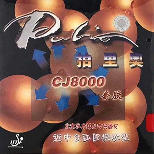 PALIO CJ8000 PIP