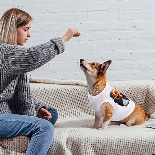 גור מצחיק כלב כלב טנק-חמוד כלב כלב חולצה-גרפי הדפסת כלב בגדים