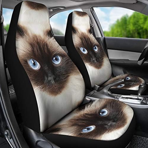 כיסויי מושב מכונית הדפסת חתולי ההימלאיה פאוליס